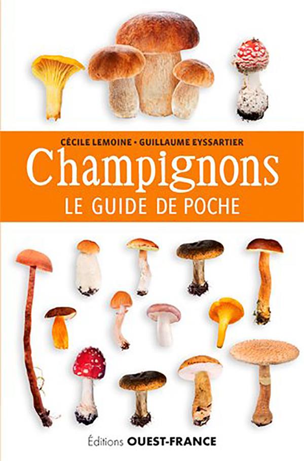 Les champignons ; le guide de poche - flash vidéo