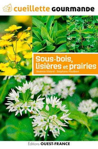 Cueillette gourmande des sous-bois, lisieres et prairies - flash vidéo