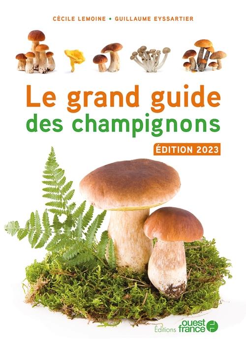 Le grand guide des champignons - flash vidéo