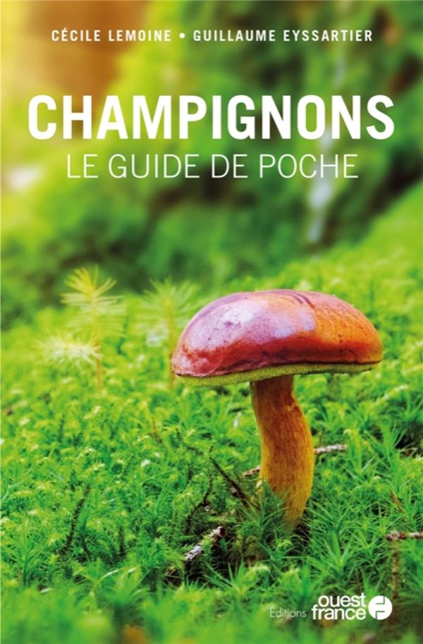 Champignons : le guide de poche - flash vidéo