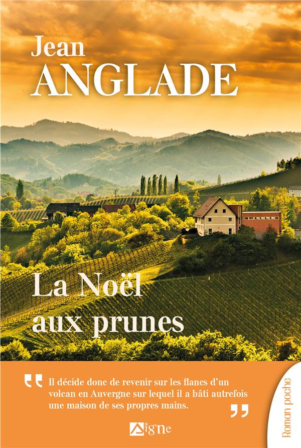 La Noël aux prunes - flash vidéo