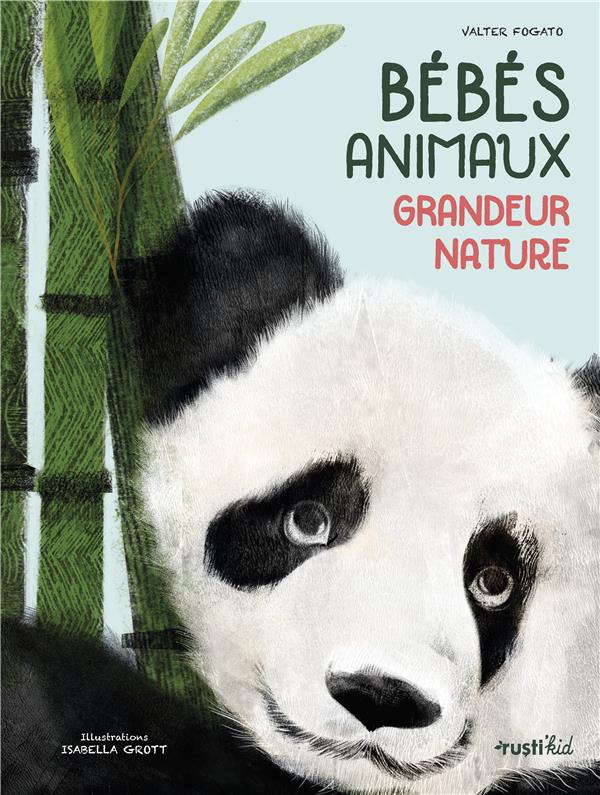 Bébés animaux ; grandeur nature - flash vidéo