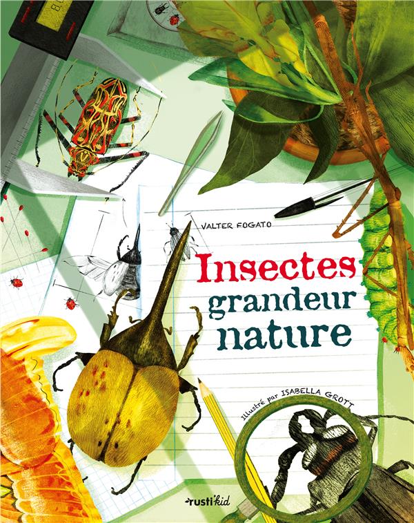 Insectes grandeur nature - flash vidéo
