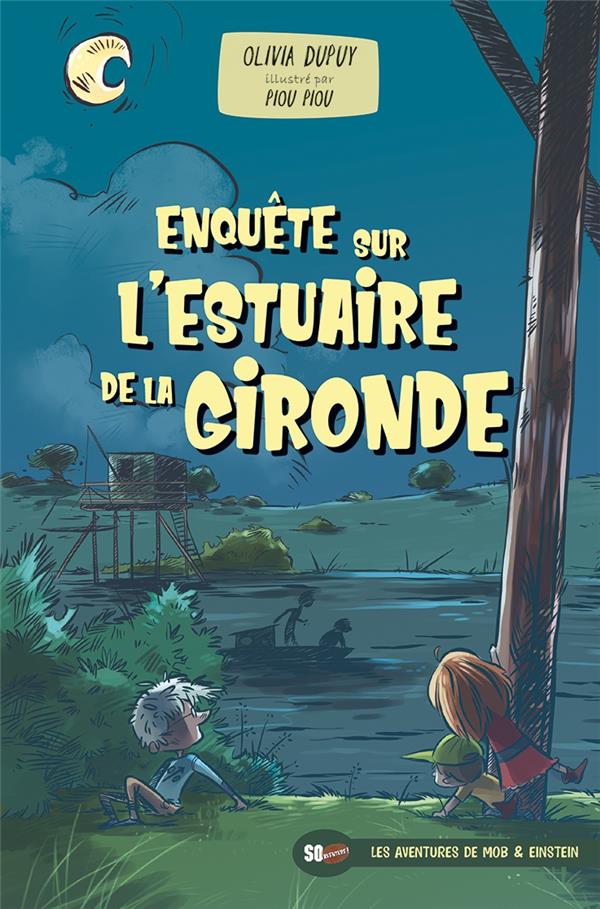 Enquete sur l'estuaire de la gironde - flash vidéo