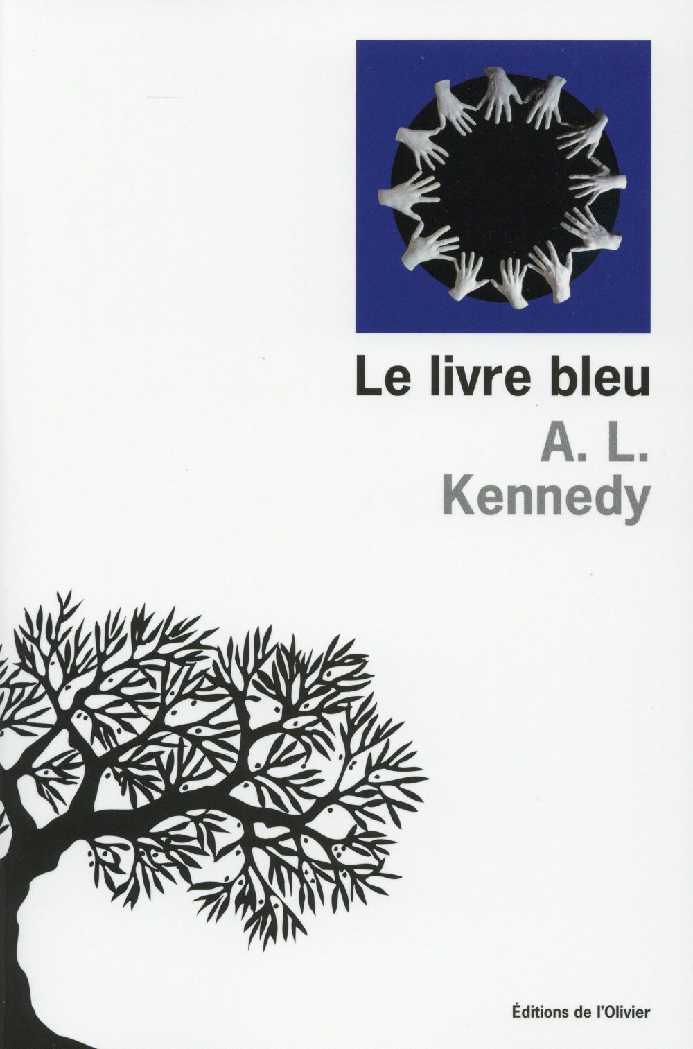 Le livre bleu - flash vidéo
