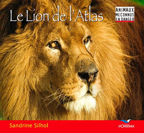 Le lion de l'Atlas - flash vidéo