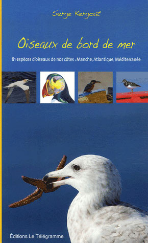 Oiseaux de bord de mer - flash vidéo