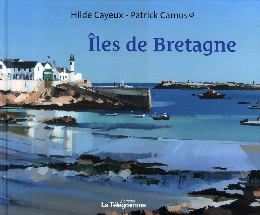 îles de Bretagne - flash vidéo