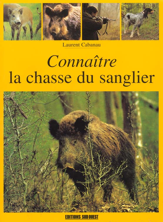 Connaitre la chasse du sanglier - flash vidéo