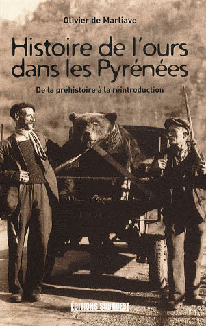 Histoire de l'ours dans les pyrénées ; de la préhistoire à la réintroduction - flash vidéo