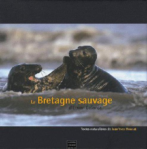 La Bretagne sauvage - flash vidéo
