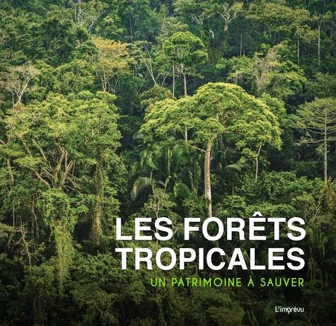 Les forêts tropicales.; un patrimoine à sauver - flash vidéo