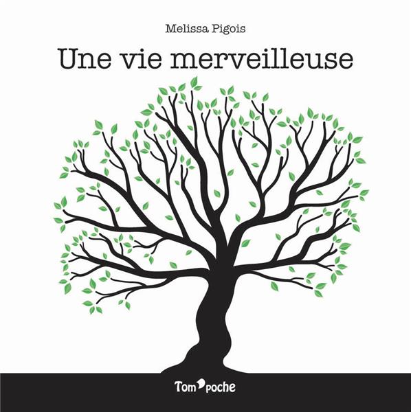 Une vie merveilleuse - flash vidéo