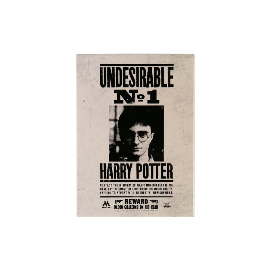 Harry Potter - Aimant en métal Undesirable No1 - flash vidéo