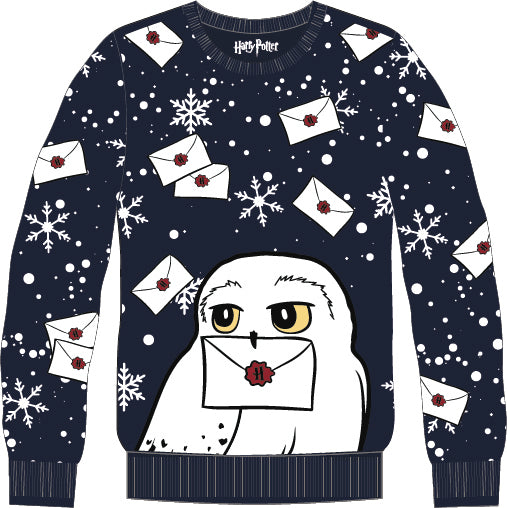 Harry Potter - Pull de Noël - Lettres et chouette - 8 ans - flash vidéo