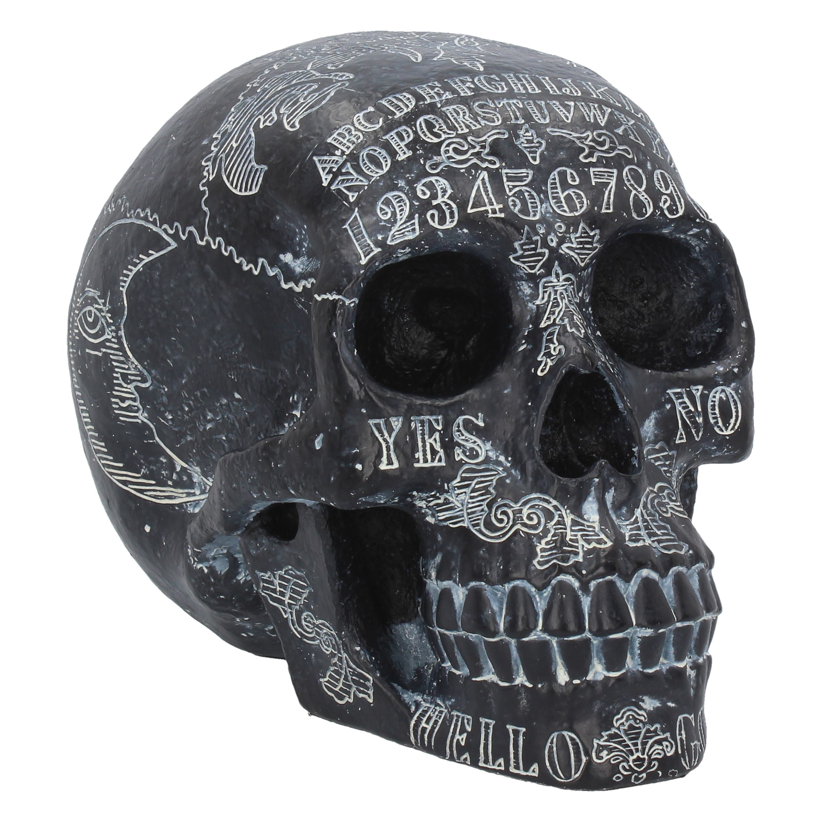 Dark Spirits Skull 20cm - flash vidéo