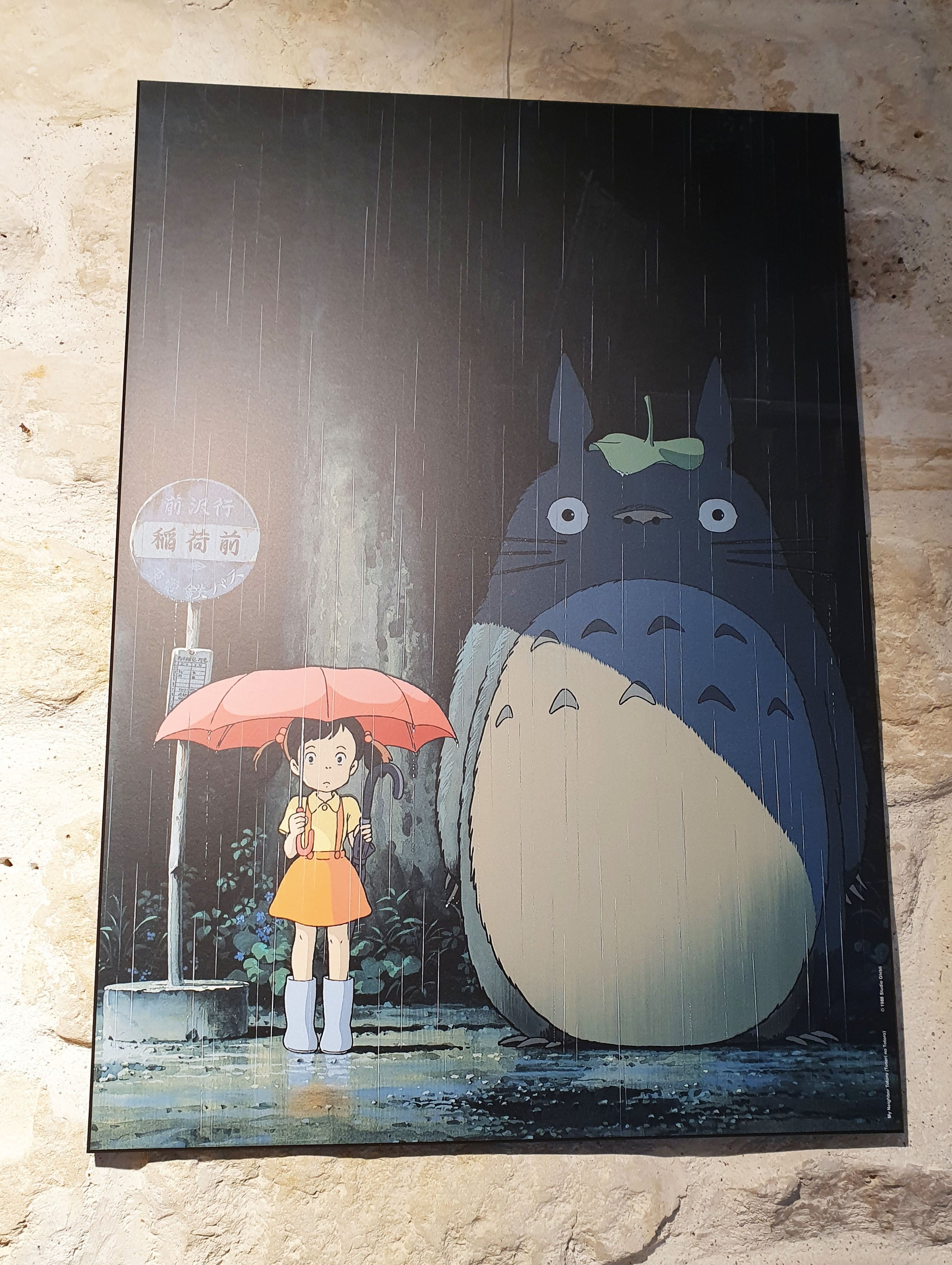Ghibli - Tableau 51X72 Ghibli - Mon Voisin Totoro - flash vidéo
