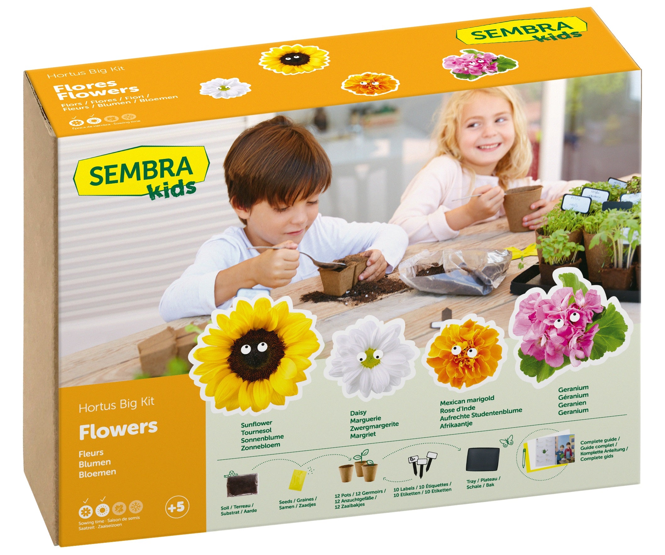 Sembra Kids - Grand Kit Fleurs - flash vidéo