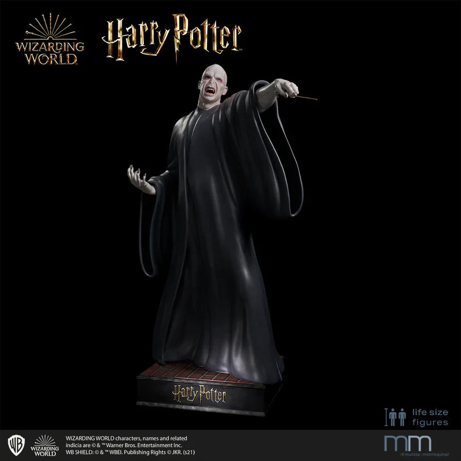 Harry Potter et les Reliques de la Mort - Statue taille réelle Voldemort (Base incluse) - flash vidéo
