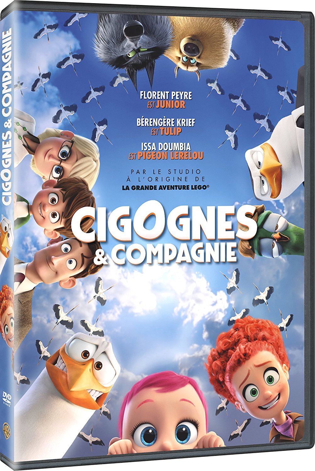 Cigognes et compagnie - flash vidéo