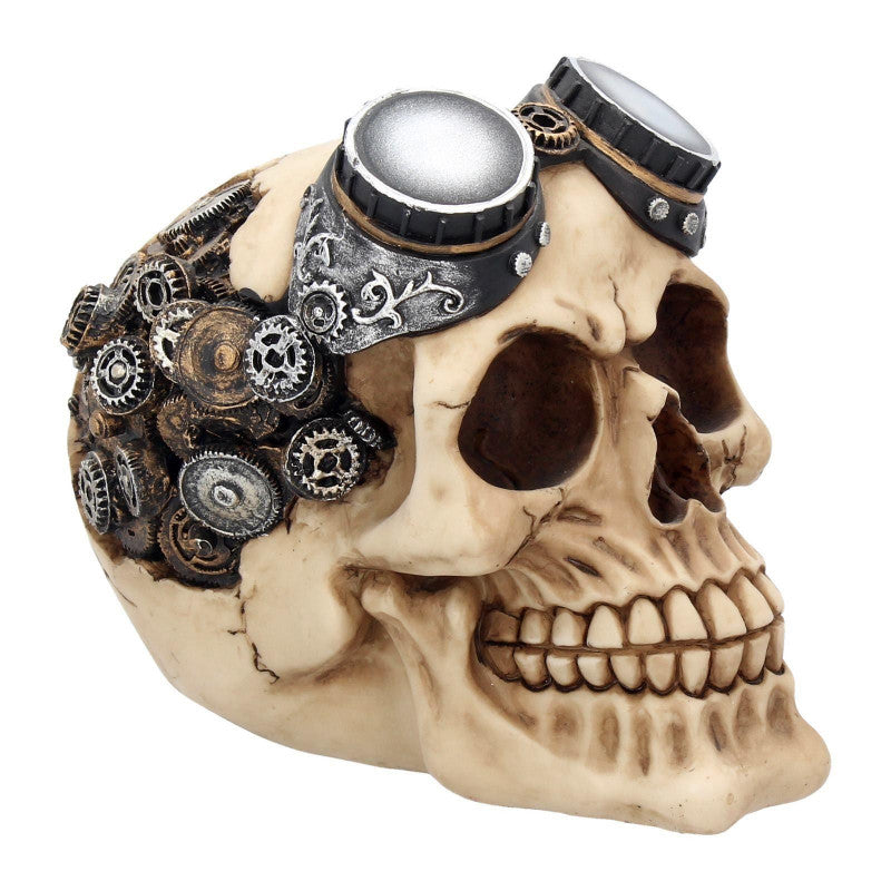 Skull with Goggles 15cm - flash vidéo