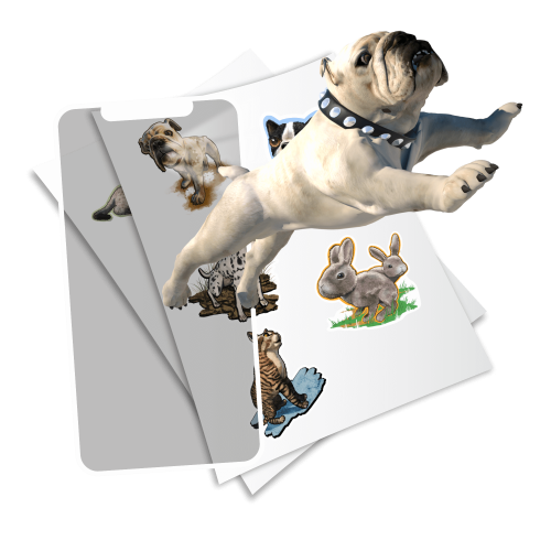 STICKERS Pet Party - flash vidéo