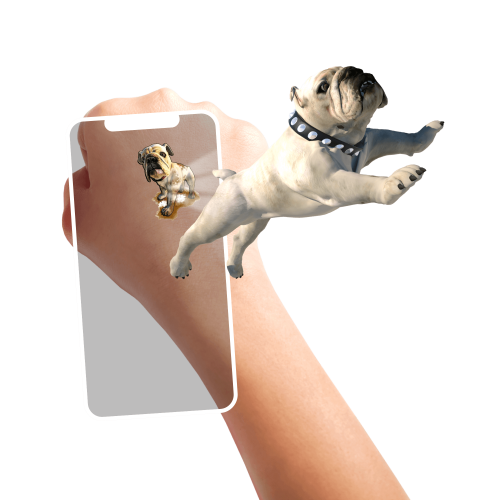 Temporary TATTOOS Pet Party - flash vidéo