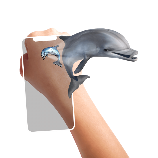 Temporary TATTOOS Super Sea Creatures - flash vidéo