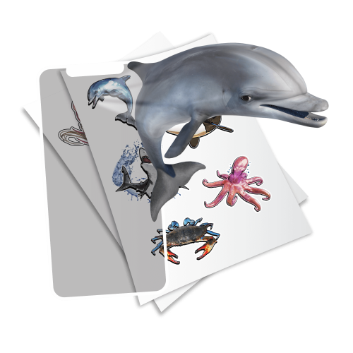 STICKERS Super Sea Creatures - flash vidéo