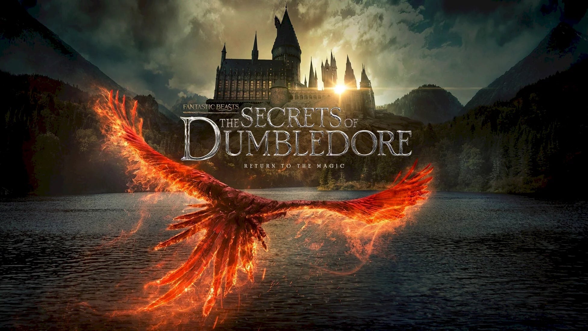 Les animaux fantastiques - Collection - flash vidéo