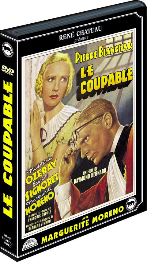 Le Coupable [DVD]