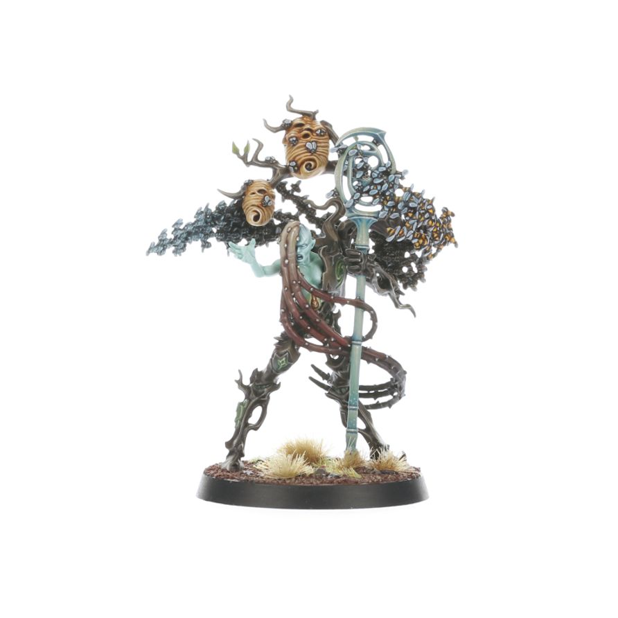 Sylvetorves