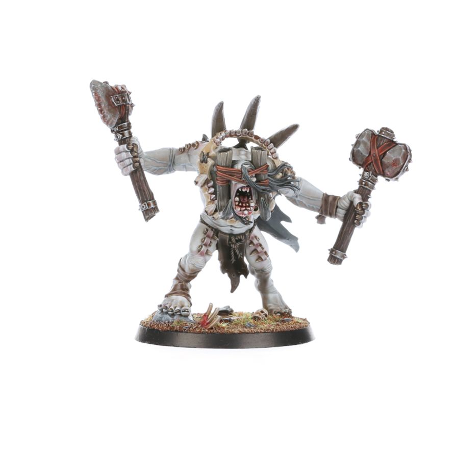Warcry: Meuteguele d'Engorgeurs