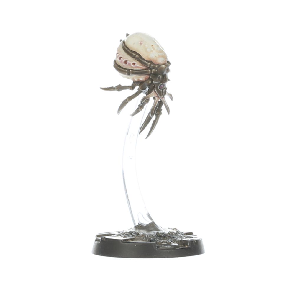 MALSTRAIN GENESTEALER ABOMINATION GANG - flash vidéo