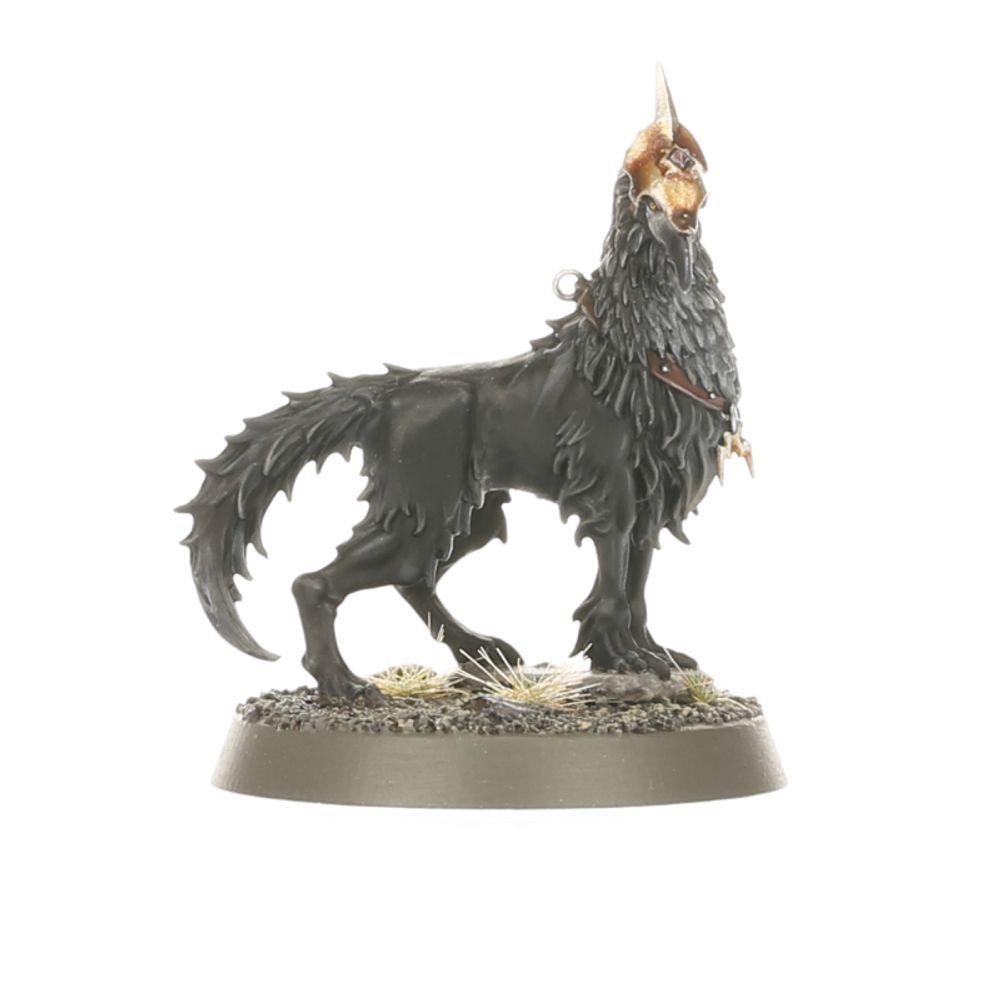 AGE OF SIGMAR: SET D'INITIATION (FRA) - flash vidéo