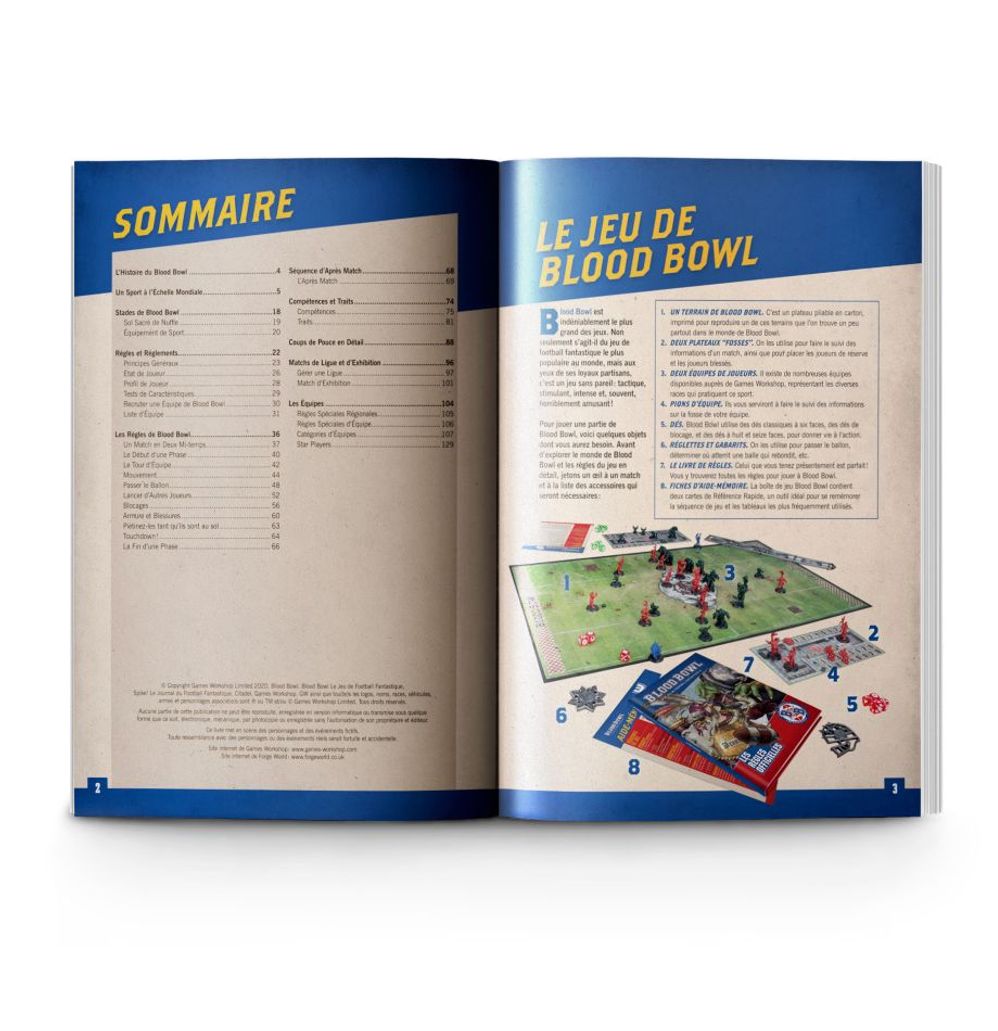 BLOOD BOWL: SECOND SEASON EDITION (FRA) - flash vidéo