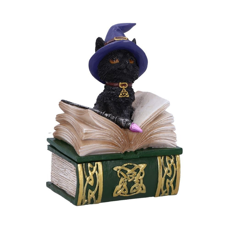 Figurine de collection Binx et boîte à sortilèges 11cm