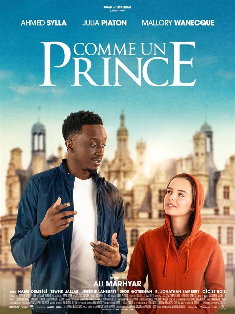 Comme un prince [DVD à la location] - flash vidéo