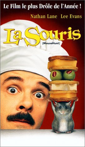 La Souris [DVD] - flash vidéo