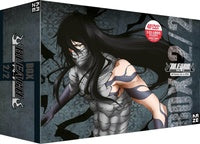 Bleach - Intégrale de la Série, Box 2/2 : Saisons 4 à 6 [DVD]