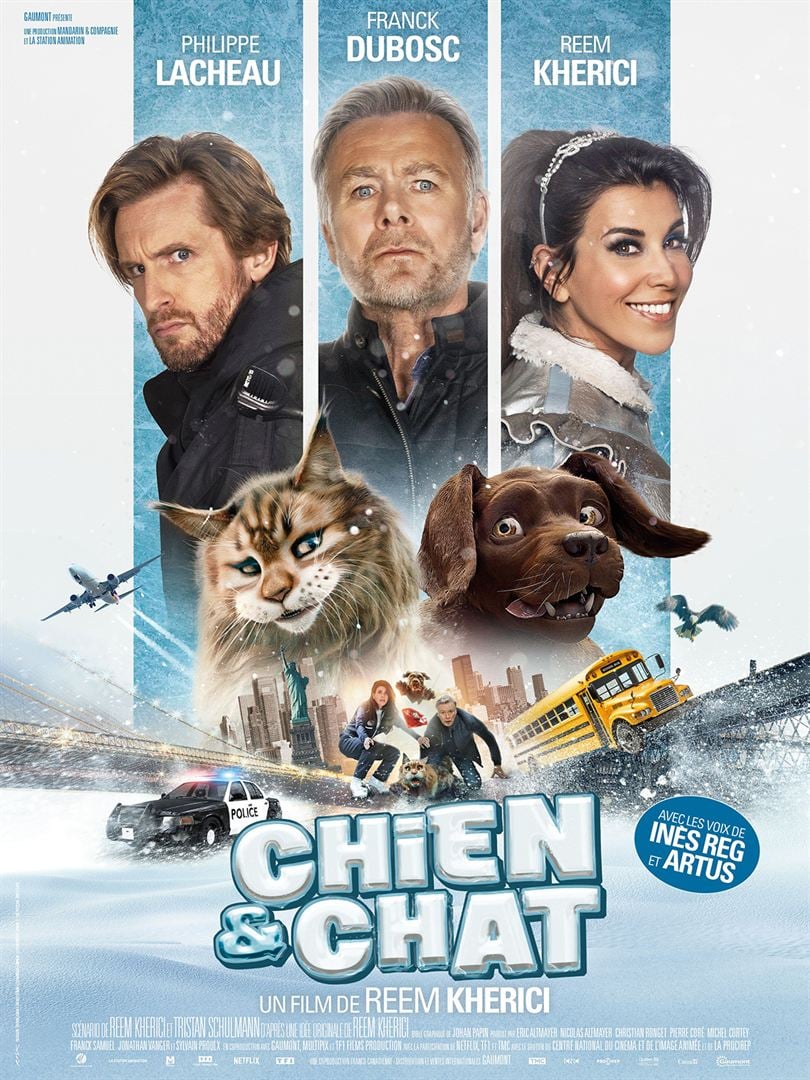 chien et chat [DVD à la location] - flash vidéo