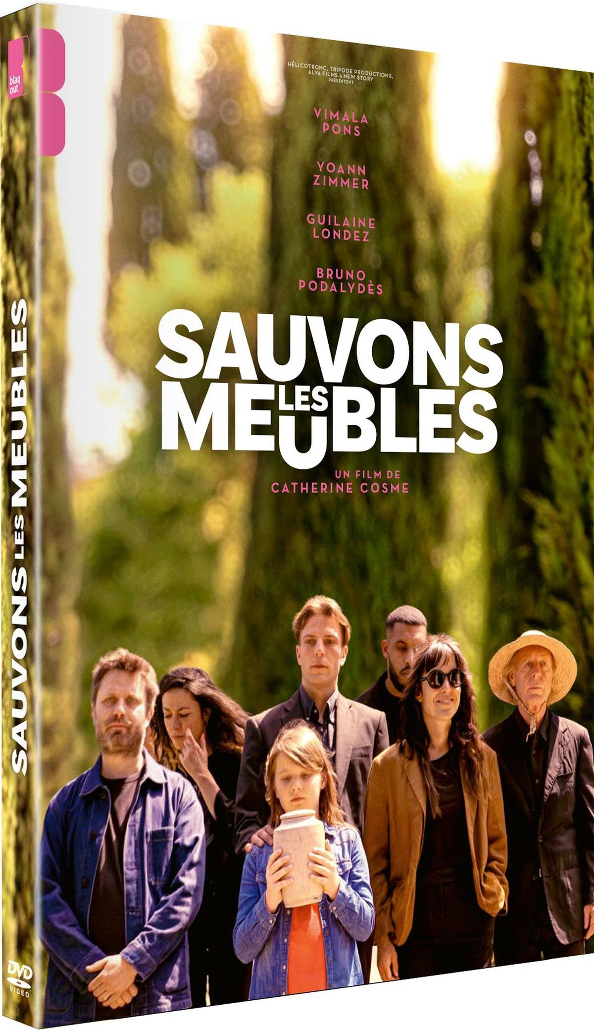 Sauvons les meubles [DVD]