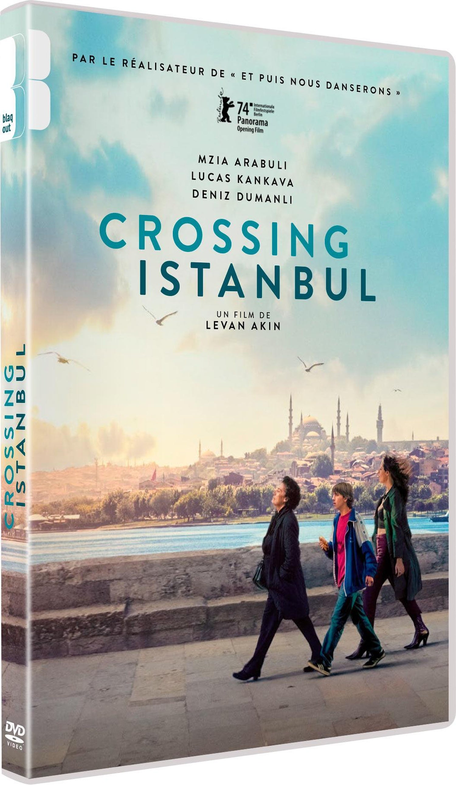 Crossing Istanbul [DVD]