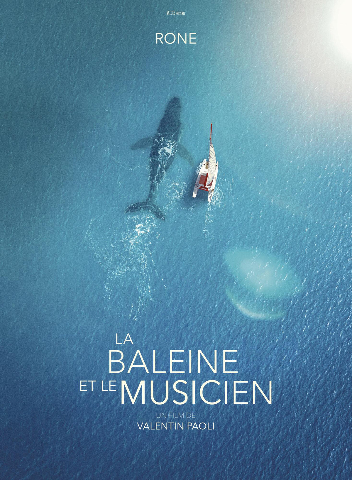 La Baleine et le musicien [DVD]