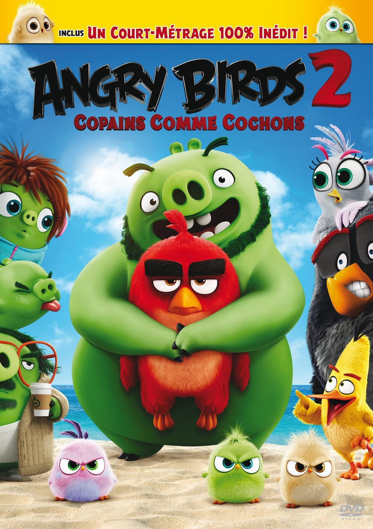 Angry Birds 2 : Copains comme cochons [DVD]