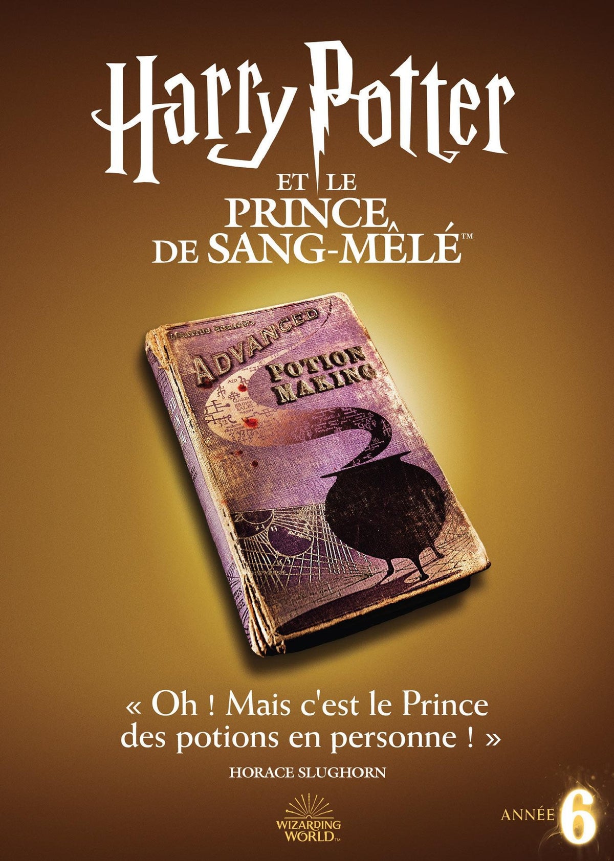 Harry Potter et le Prince de Sang-Mêlé [DVD]