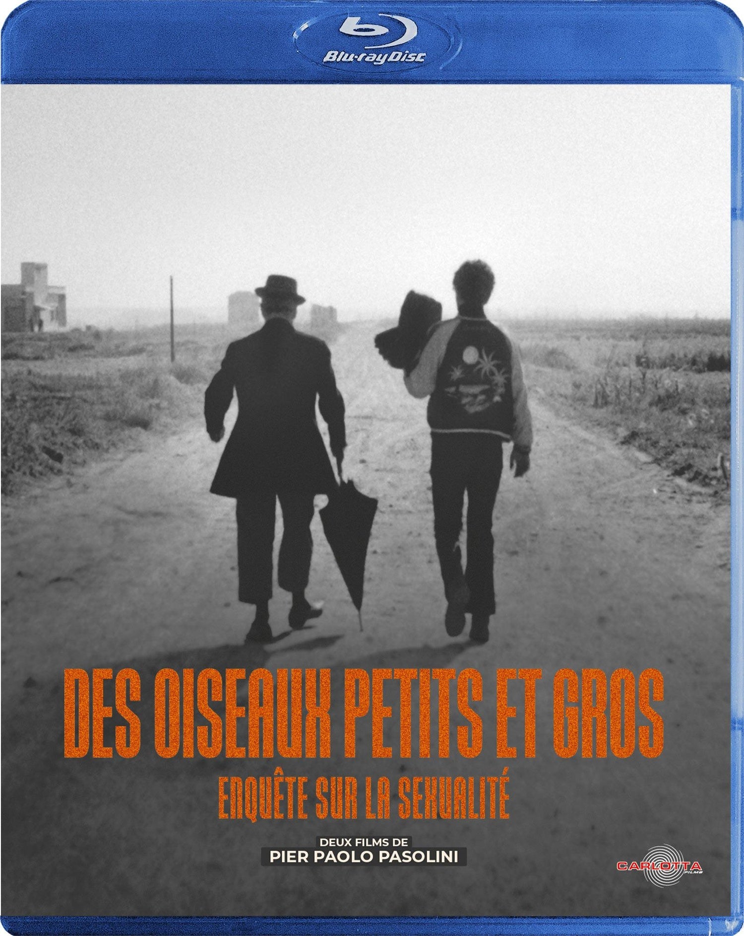 Des oiseaux petits et gros + Enquête sur la sexualité [Blu-ray]