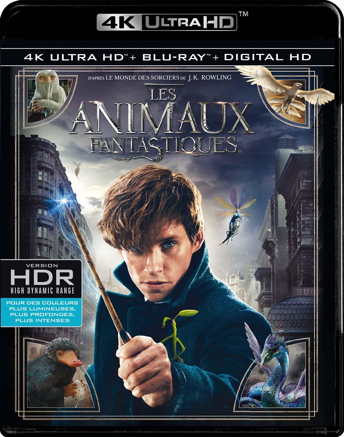 Les Animaux fantastiques [4K Ultra HD]