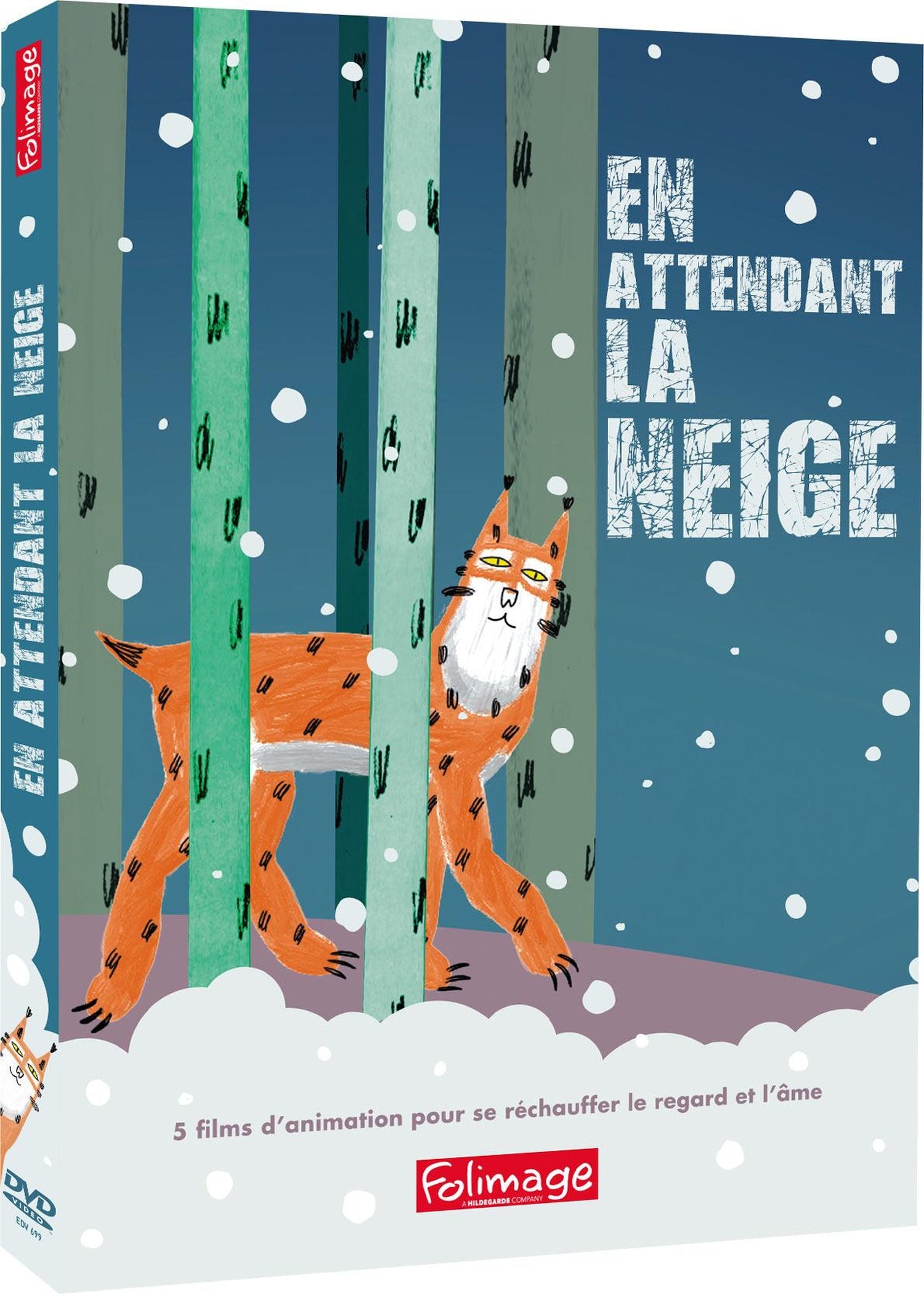 En attendant la neige [DVD]