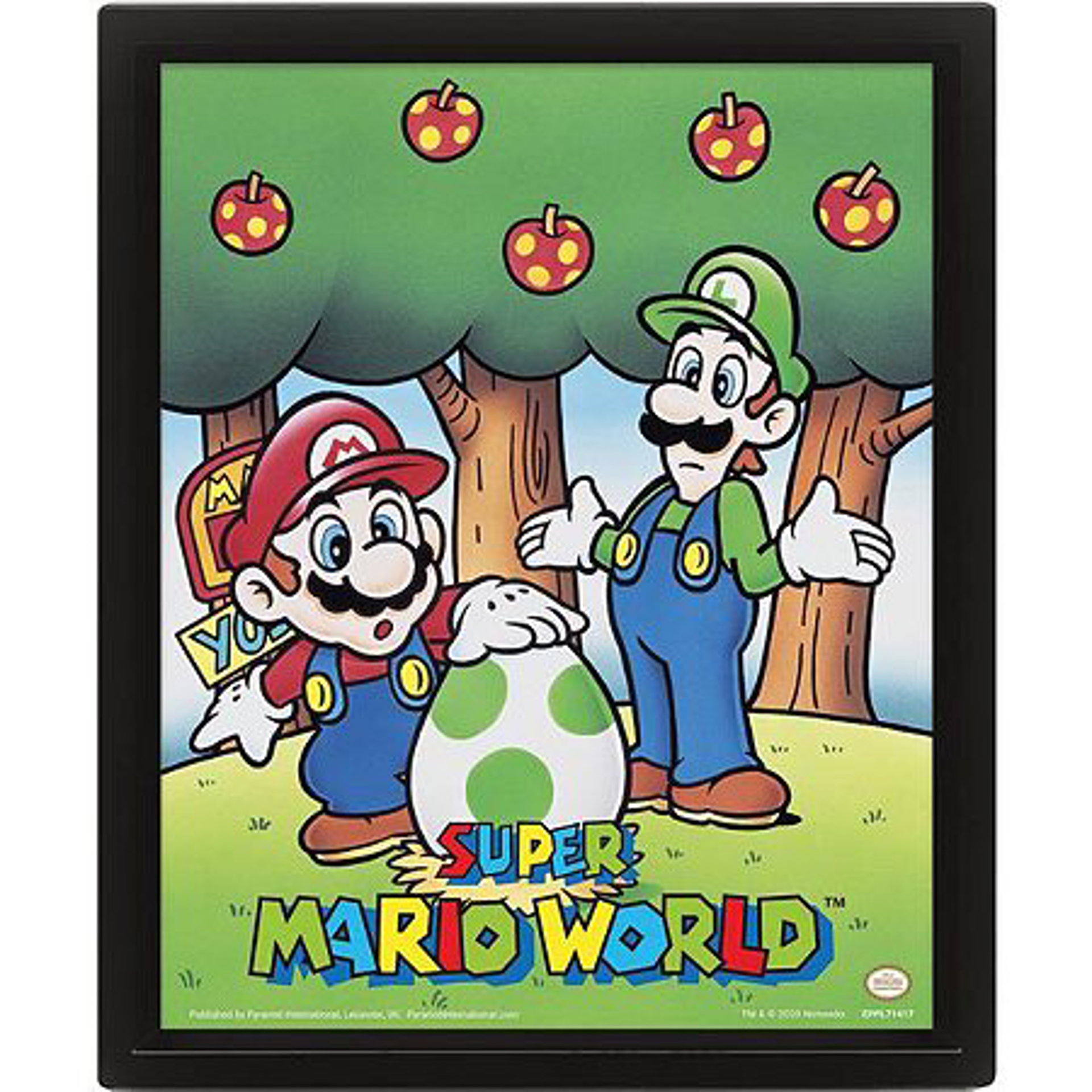 Nintendo - Super Mario World (Mario et Luigi) Cadre 3D Lenticulaire 25x20cm - flash vidéo